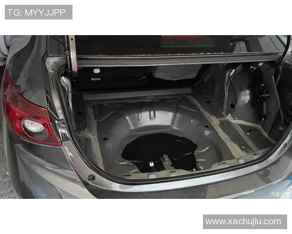 杭州排球队进攻战术解析与热点动态全方位解读