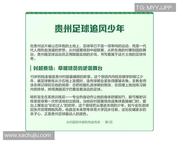 足球明星的职业生涯与成就全解析，领略绿茵场上的传奇故事